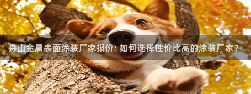 美高梅介绍