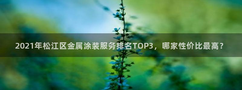 美高梅狮王卡是什么
