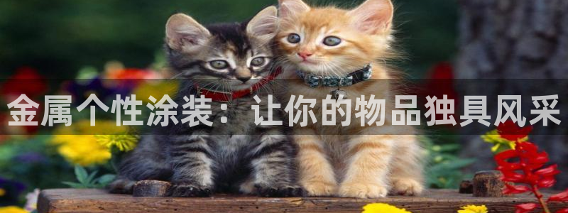 美高梅别墅房价
