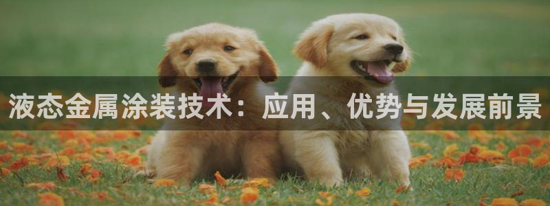 美高梅金卡怎么获得