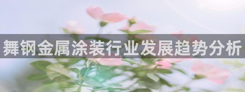 美高梅酒店图片