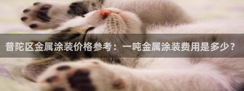 美狮美高梅酒店介绍