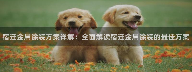 美高梅公司事件现已迎喜讯