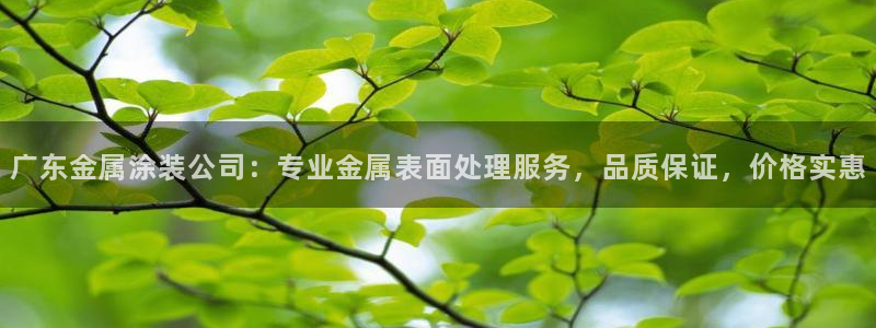 美高梅会员卡怎么办理的