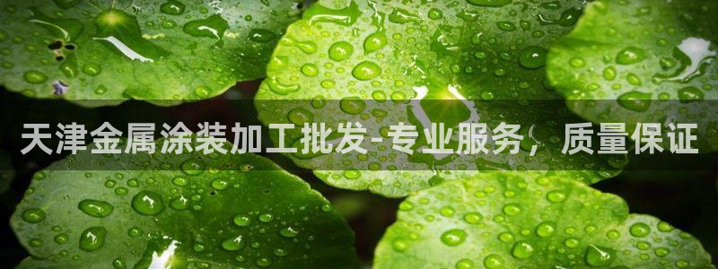 美高梅酒店一晚多少钱