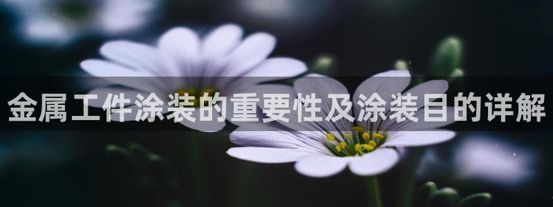 美狮美高梅酒店麦当劳有没有奶茶