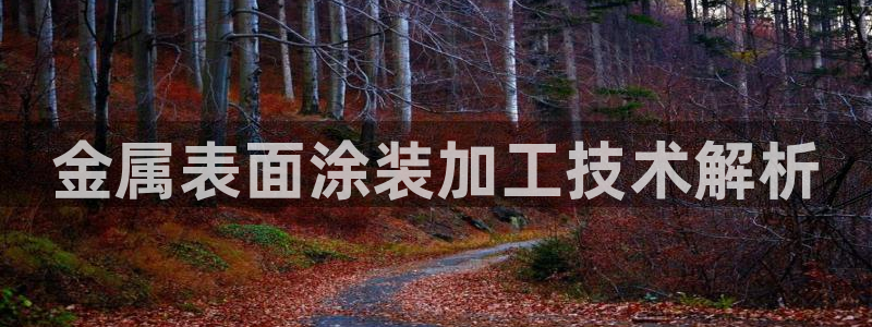 美高梅会员卡等级怎么分