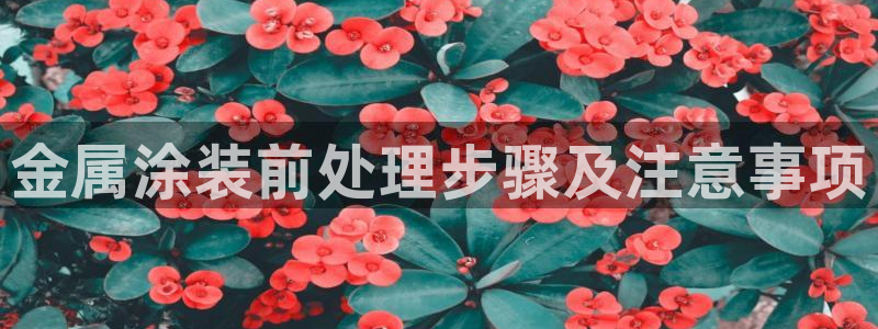 美高梅酒店图片