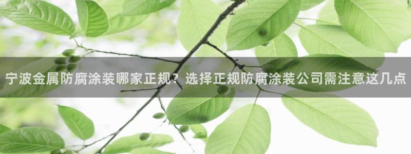 美高梅是哪个国家的连锁酒店