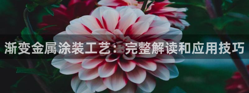 美高梅酒店发财车
