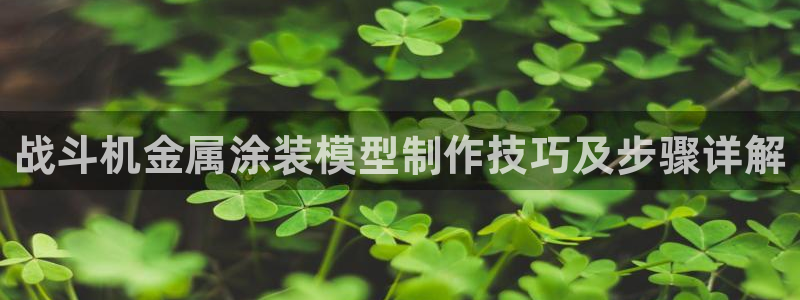 美高梅酒店品牌故事