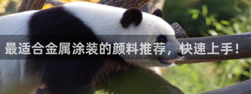 美高梅美幻酒店
