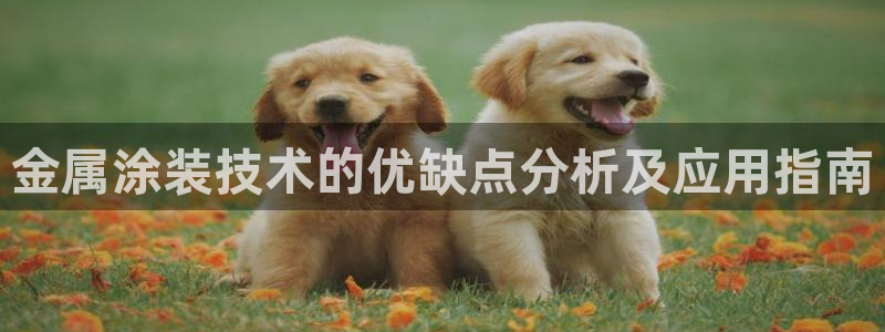 美狮美高梅酒店有什么品牌专卖店