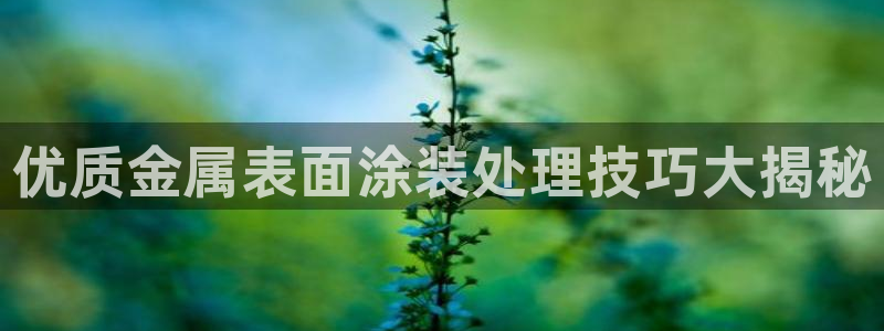 美狮美高梅酒店