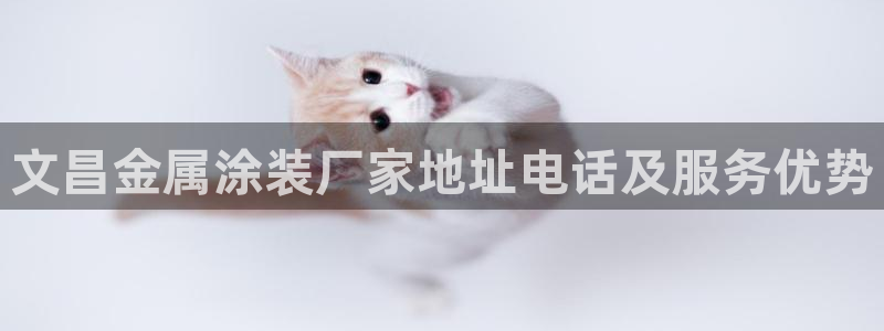 美高梅何超琼股份