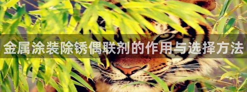 美高梅酒店集团旗下品牌有哪些