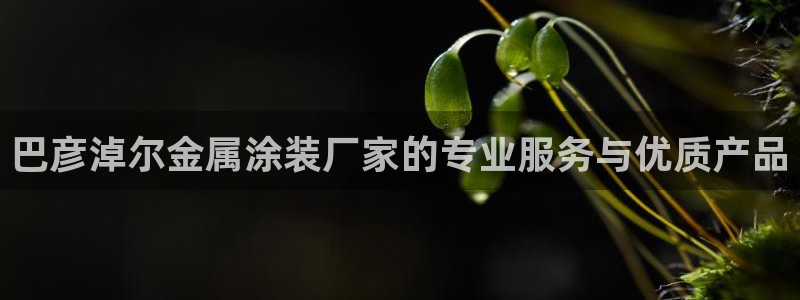 美高梅门前的狮子