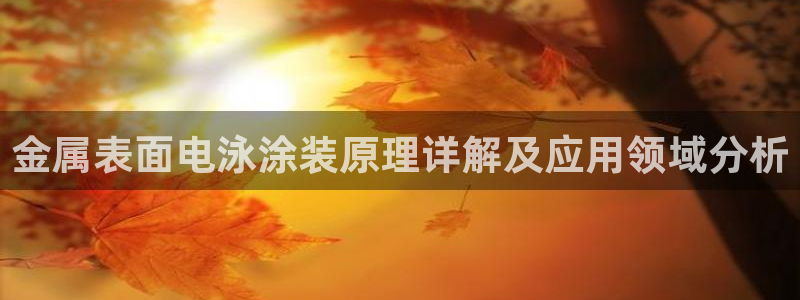 美高梅何超琼持股