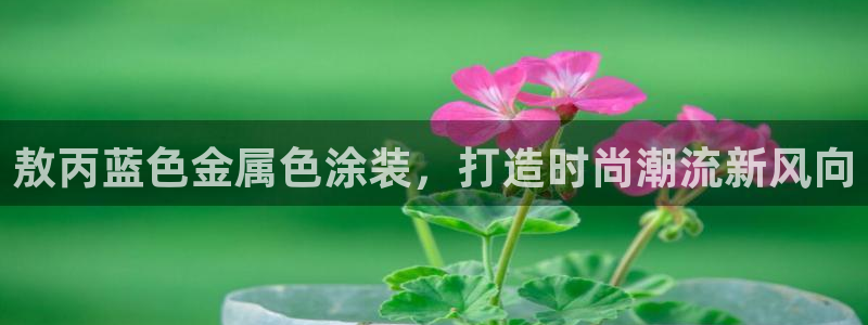 美高梅股票今天怎么了