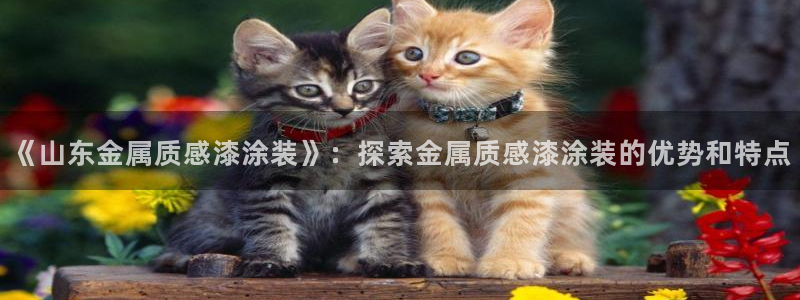 美高梅国际酒店集团和何超琼