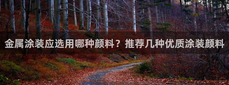美高梅1000万筹码图片