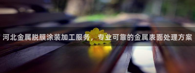 美高梅VIP等级