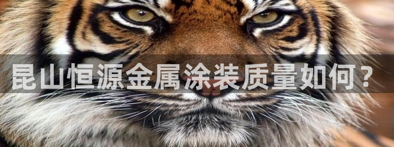美高梅积分卡级别