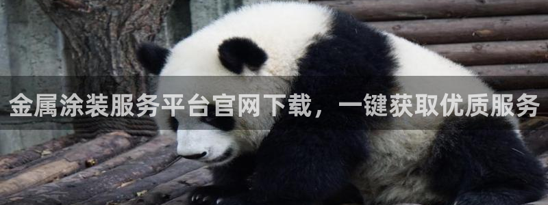 美高梅官网了