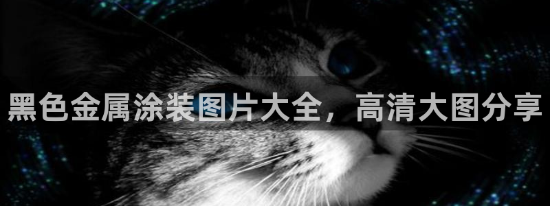 美高梅中国集团简介