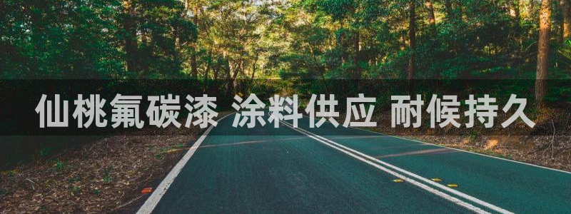 美高梅几星级酒店?