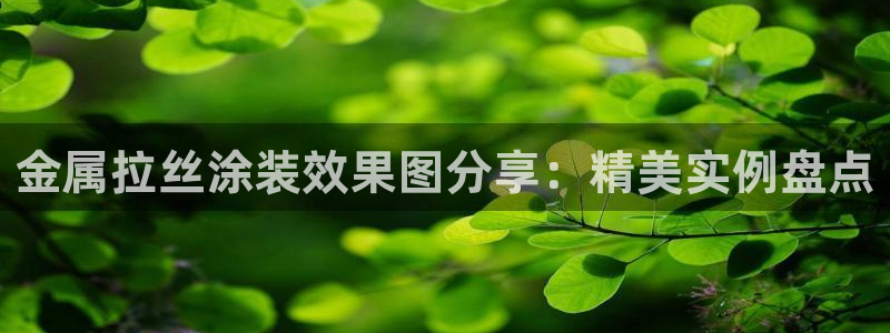 美高梅中国控股有限公司 介绍