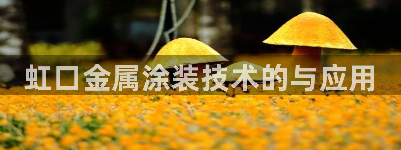 澳门的美高梅是谁的