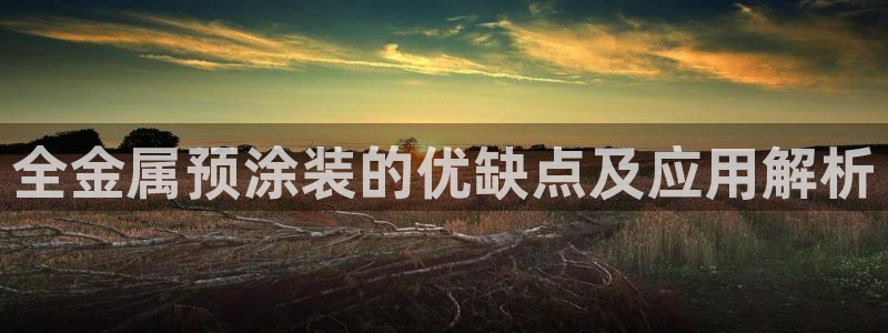 美狮美高梅酒店武汉有吗
