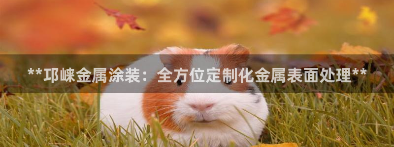 美高梅大酒店创始人