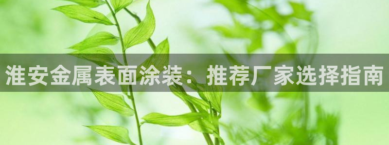 美高梅酒店老板