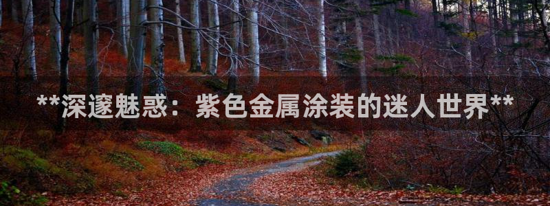 美高梅公寓租房