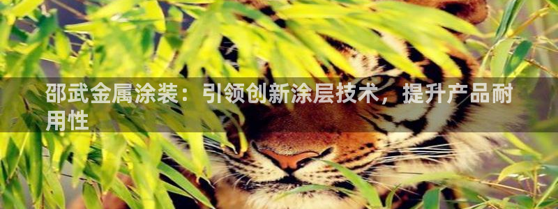美高梅是做什么的?