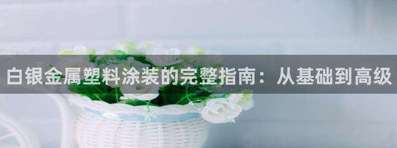 美高梅筹码图片