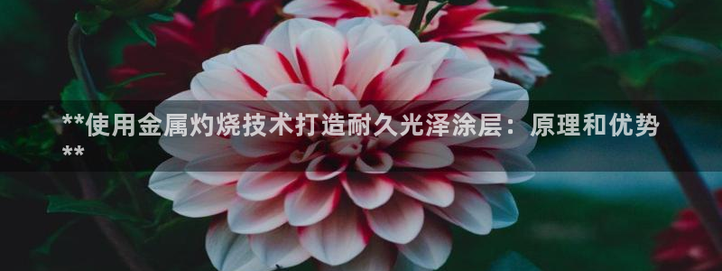 美高梅会员卡分类