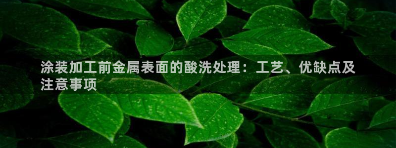 美高梅大酒店中国