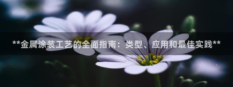 美高梅矿泉水多少钱一瓶