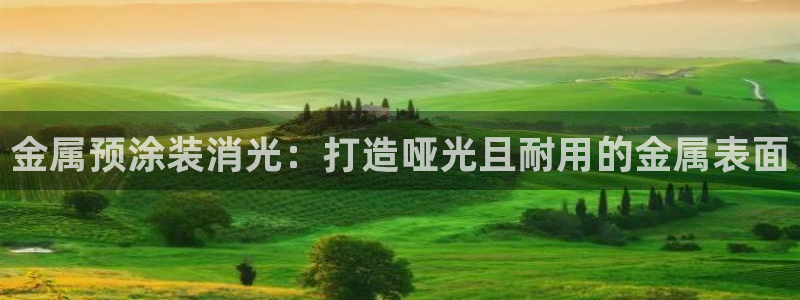 美高梅酒店特点