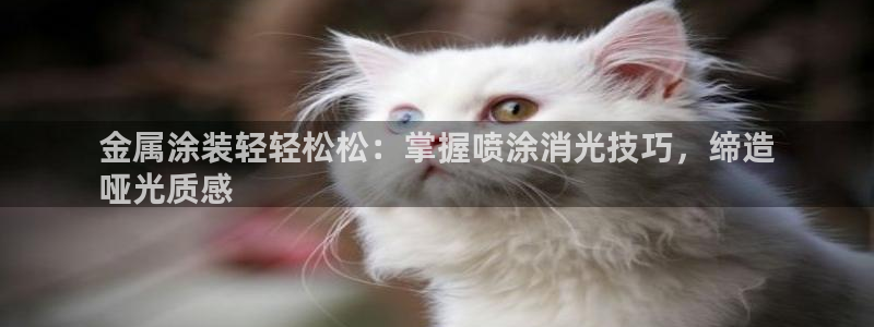 美高梅公司简介