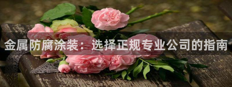 美高梅酒店拉斯维加斯