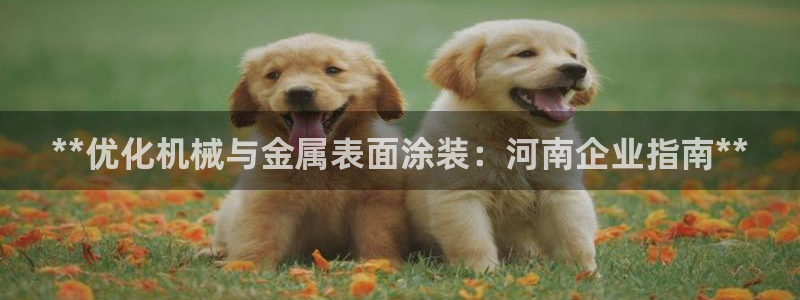 美狮美高梅酒店什么时候开业