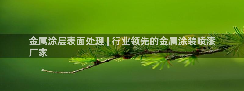 美高梅被收购
