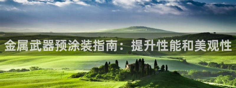 美高梅一千万筹码