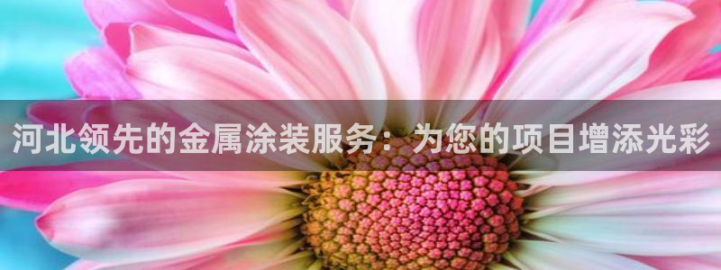 美高梅门口的狮子介绍