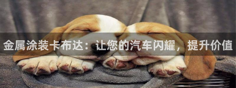 美高梅酒店狮子典故