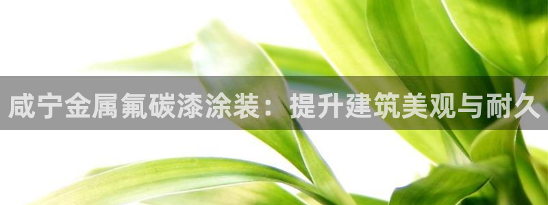 美高梅别墅售楼处